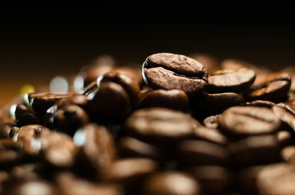 辦公室咖啡提案：咖啡茶包與研磨咖啡的效率與風味比較